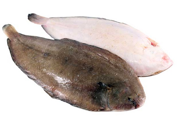 Sole Fish