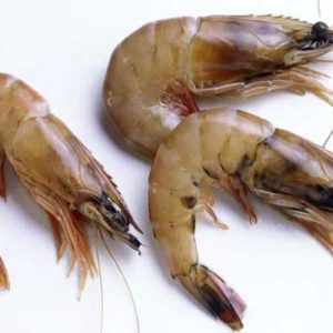 Brown Head Shrimp Exporters In Pakistan